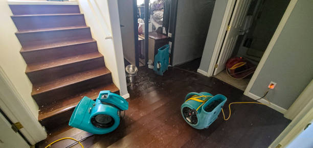 Best Water damage contractors near me  in Manchester, VA