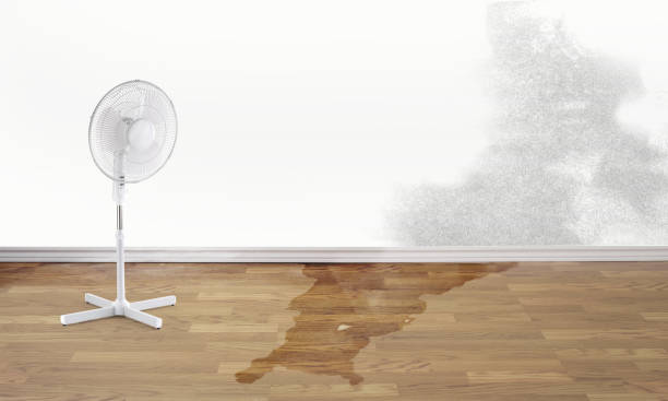 Best Flood restoration services  in Manchester, VA