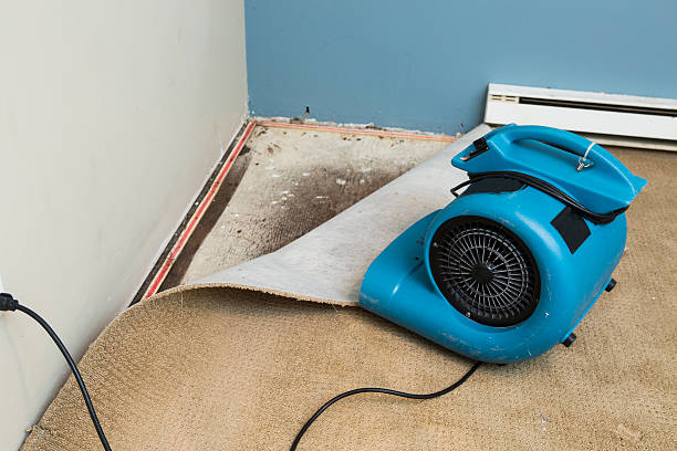 Best Water damage restoration services  in Manchester, VA